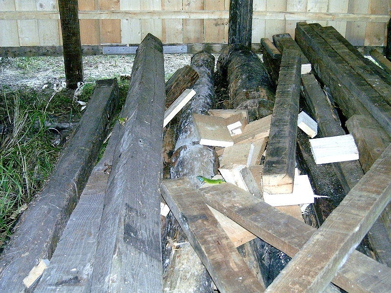 20100609 007.jpg